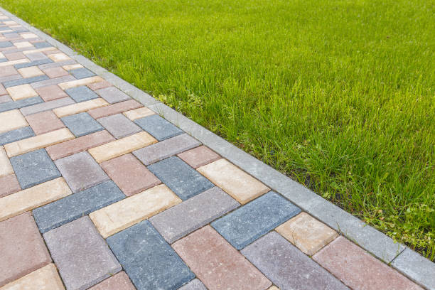 Best Driveway Paving Contractor  in Rockford, MI